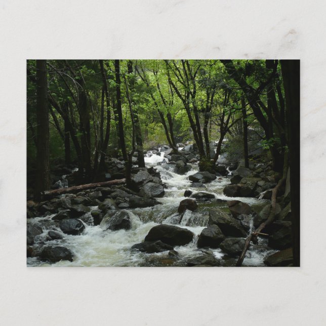 Bridalveil Creek in Yosemite National Park Postcard (Front)