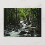 Bridalveil Creek in Yosemite National Park Postcard