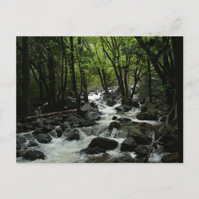 Bridalveil Creek in Yosemite National Park Postcard (Front)