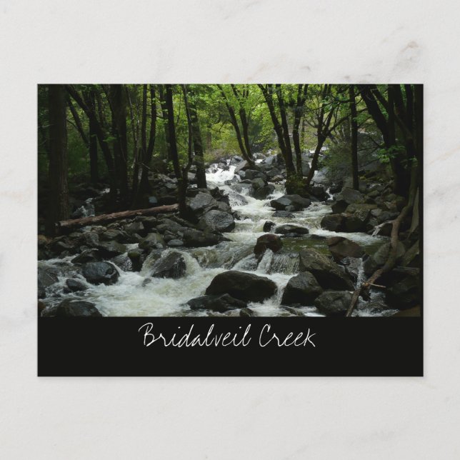 Bridalveil Creek in Yosemite National Park Postcard (Front)