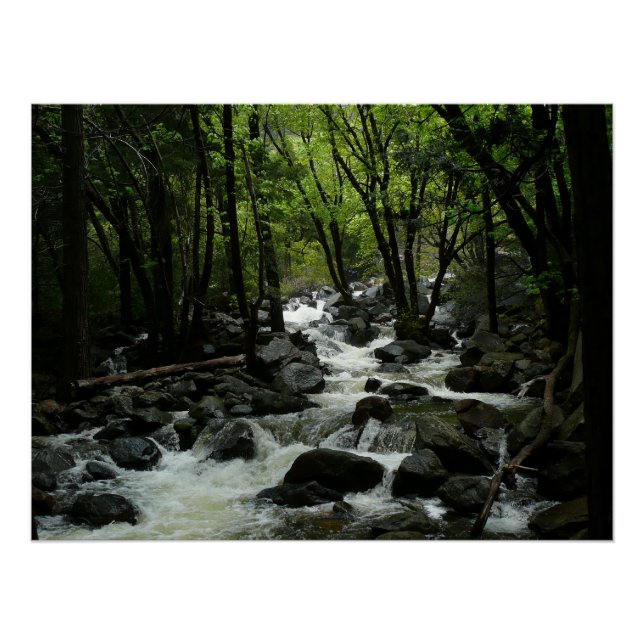 Bridalveil Creek in Yosemite National Park Poster (Front)