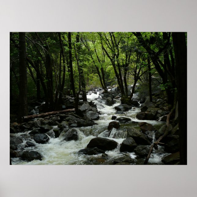 Bridalveil Creek in Yosemite National Park Poster (Front)