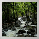 Bridalveil Creek in Yosemite National Park Poster