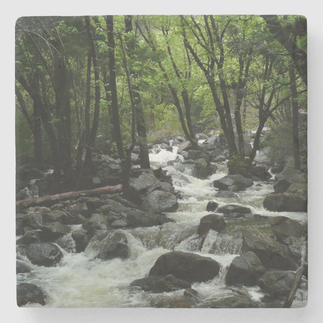Bridalveil Creek in Yosemite National Park Stone Coaster (Front)