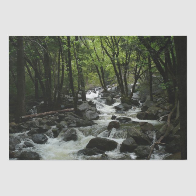 Bridalveil Creek in Yosemite National Park Tissue Paper (Front)