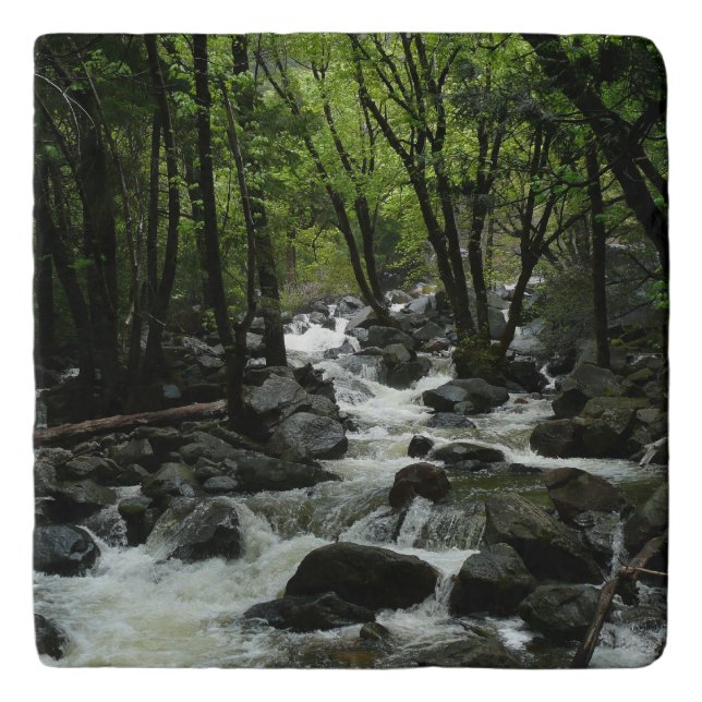 Bridalveil Creek in Yosemite National Park Trivet (Front)