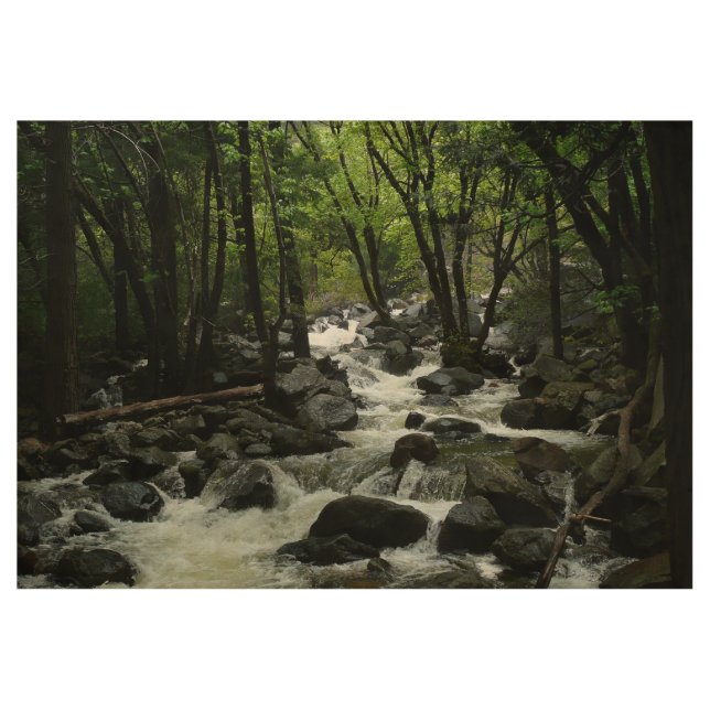 Bridalveil Creek in Yosemite National Park Wood Poster (Front)