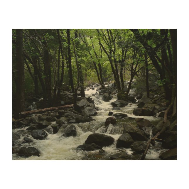 Bridalveil Creek in Yosemite National Park Wood Wall Decor (Front)