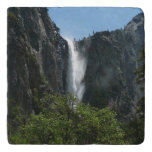 Bridalveil Falls at Yosemite National Park Trivet