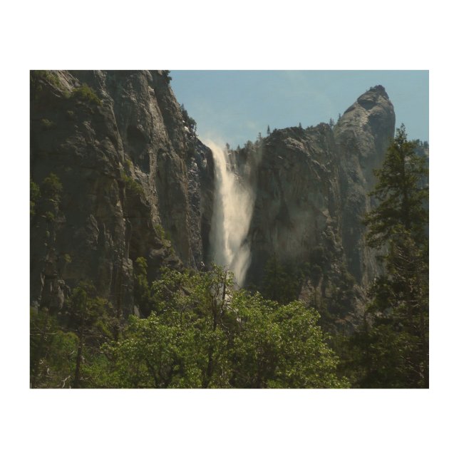 Bridalveil Falls at Yosemite National Park Wood Wall Decor (Front)