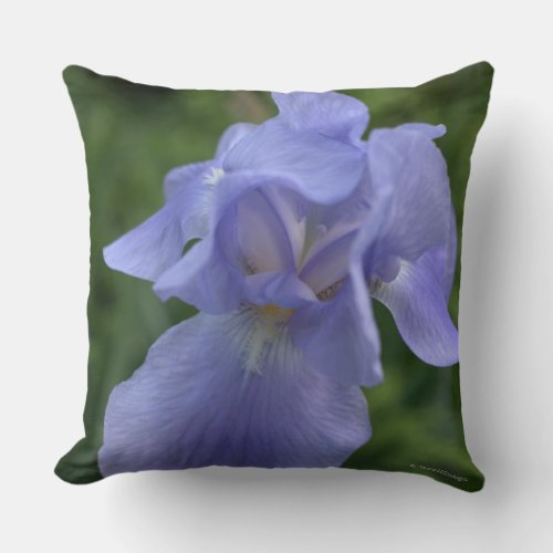 Bride and Groom Perwinkle Iris Floral Personalize Throw Pillow