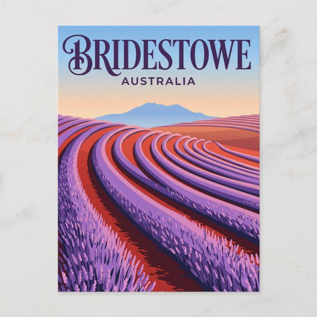 Bridestowe Lavender Estate Australia Postcard (Front)