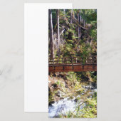 Bridge (Front/Back)