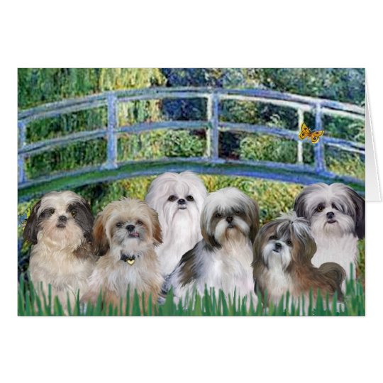 Bridge - 6 Shih tzus Card