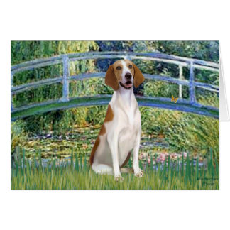 Bridge - American Foxhound Cards