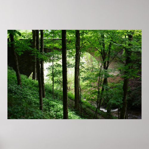 Bridge Arch Green Forest Poster 36 x 24