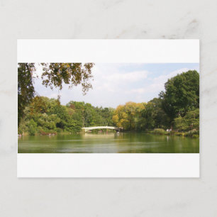 Bridge at Central Park, New York City Postcard