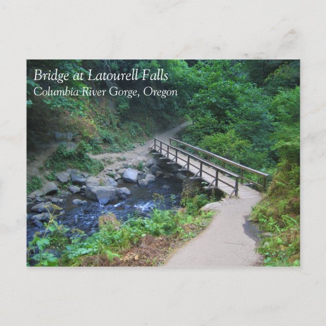 Bridge at Latourell Falls, Oregon Postcard (Front)