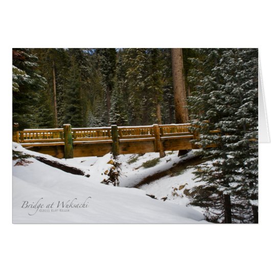 Bridge at Wuksachi (Front Horizontal)
