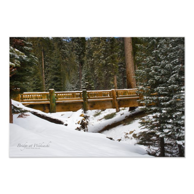 Bridge at Wuksachi Photo Print (Front)