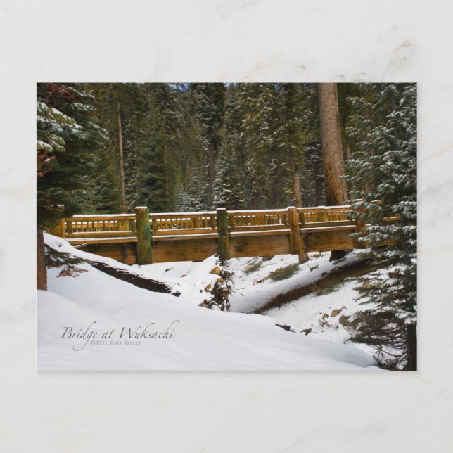 Bridge at Wuksachi Postcard (Front)