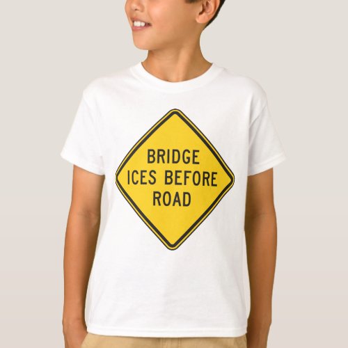 Bridge Ices Before Road Sign T_Shirt