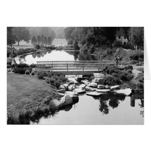 Bridge in CT Card (Front Horizontal)