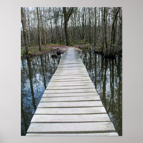 Bridge in forest Brug in bos poster