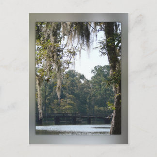 Bridge in the Swamps Postcard