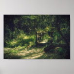 Bridge in the woods poster