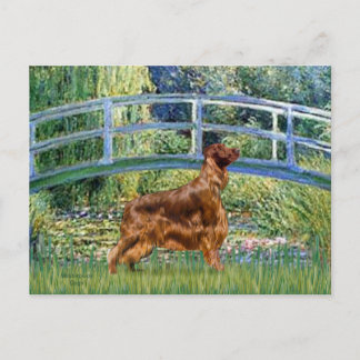 Bridge - Irish Setter 3 Postcard