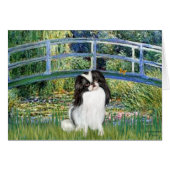 Bridge - Japaanese Chin 2 (Front Horizontal)