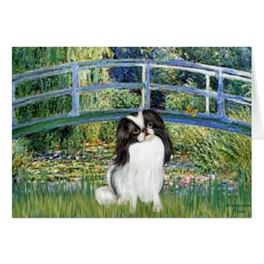 Bridge - Japaanese Chin 2 (Front Horizontal)