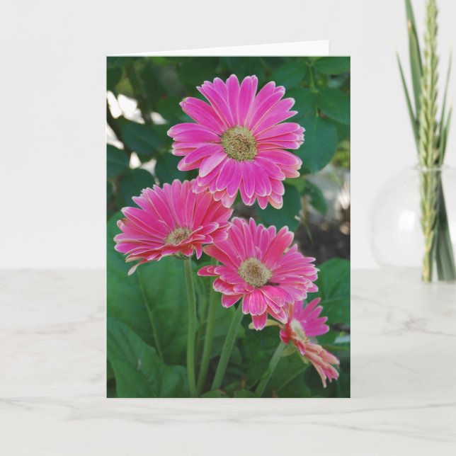 Bridge of Flowers - Daisies notecard (Front)