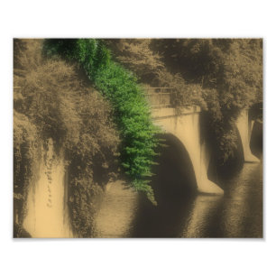Bridge Of Flowers Vintage Partial Color 8x10 Photo Print
