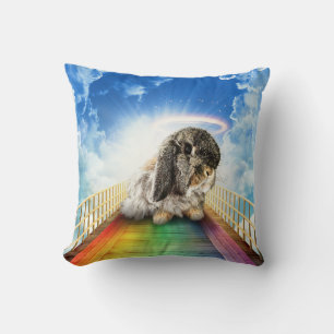 Bridge of Many Colors Pillow