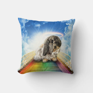 Bridge of Many Colors Pillow