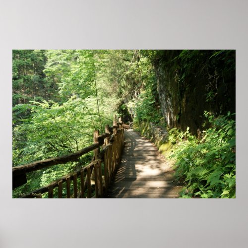 Bridge on Edge 36 x 24 Poster