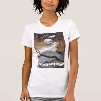 Bridge Over a Frozen Stream by Alexandra Cook T-Shirt