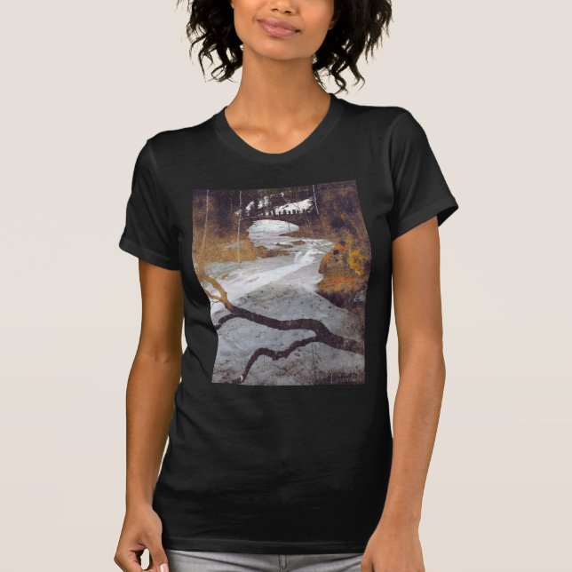Bridge Over a Frozen Stream by Alexandra Cook T-Shirt (Front)