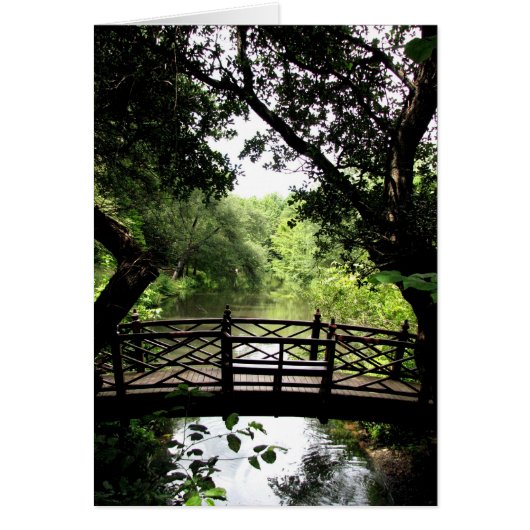 Bridge Over Peaceful Water Cards (Front)