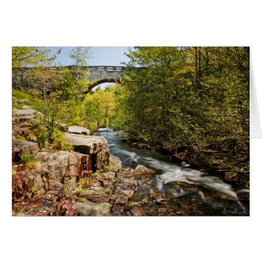 Bridge Over River Cards (Front Horizontal)