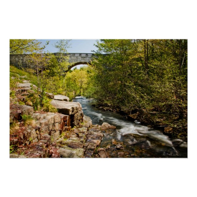 Bridge Over River Poster (Front)