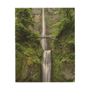 Bridge over Waterfall Landscape Wood Wall Art