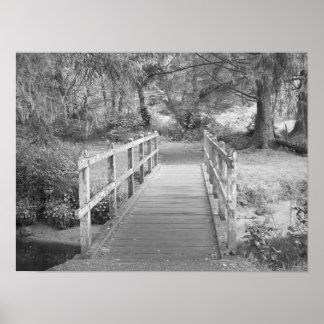 Bridge Poster