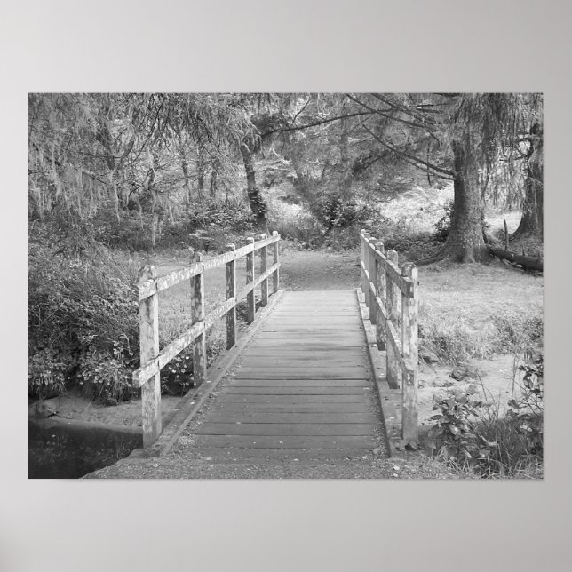 Bridge Poster (Front)