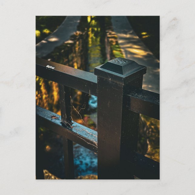 Bridge Railing with Sunlight Reflections Postcard (Front)