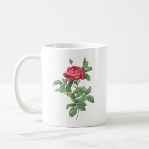 Bridge Rose By Redoute mug