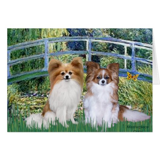 Bridge - Two Papillons Cards (Front Horizontal)