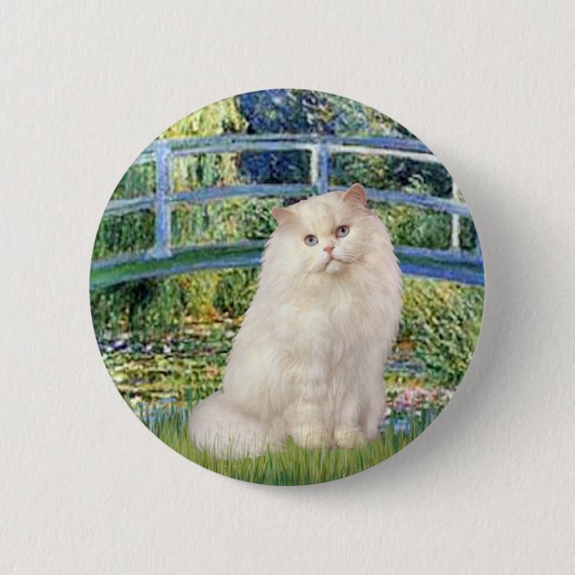 Bridge - White Persian cat Pinback Button (Front)